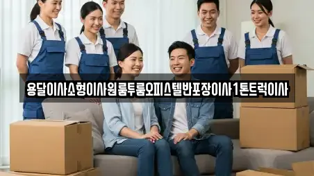 용달이사소형이사원룸투룸오피스텔반포장이사1톤트럭이사