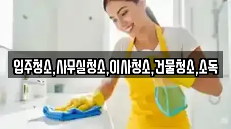입주청소,사무실청소,이사청소,건물청소,소독