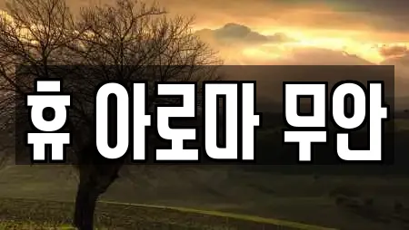 휴 아로마 무안