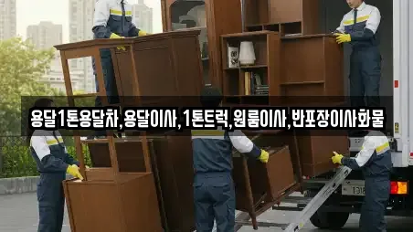 용달1톤용달차,용달이사,1톤트럭,원룸이사,반포장이사화물