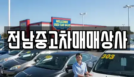 3건 전라남도 담양군 금성면 중고차 업체 정보 3건 전라남도 담양군 금성면 중고차 업체 정보