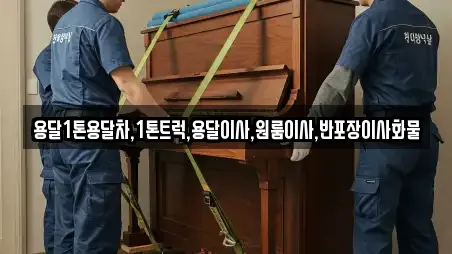 전라남도 목포 광동3가 원룸이사 지역별 10곳 전라남도 목포 광동3가 원룸이사 지역별 10곳