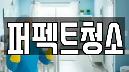 퍼펙트청소