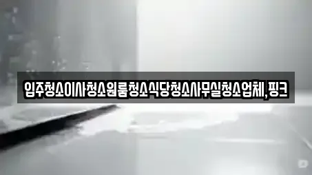 입주청소이사청소원룸청소식당청소사무실청소업체,핑크