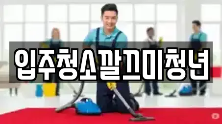 입주청소깔끄미청년