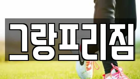 그랑프리짐