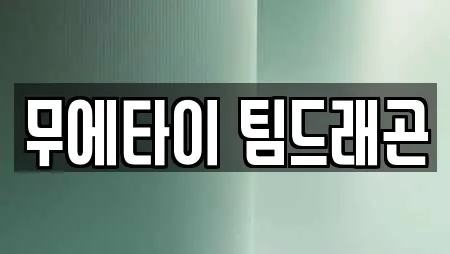 무에타이 팀드래곤