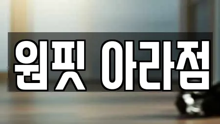 원핏 아라점