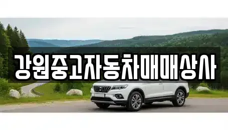 강원중고자동차매매상사