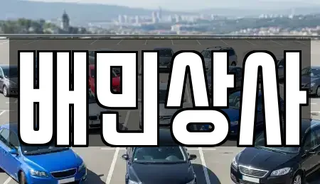 배민상사