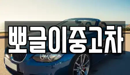 뽀글이중고차
