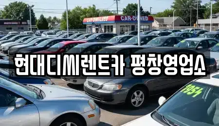 진부면 렌트카 업체 찾기 10곳 진부면 렌트카 업체 찾기 10곳