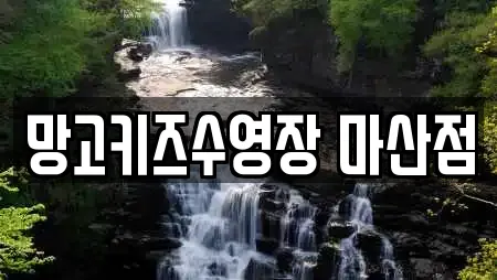 망고키즈수영장 마산점
