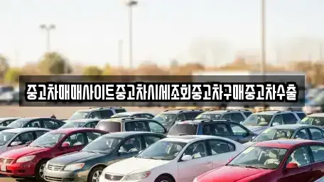 중고차매매사이트중고차시세조회중고차구매중고차수출