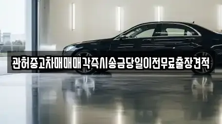 관허중고차매매매각즉시송금당일이전무료출장견적