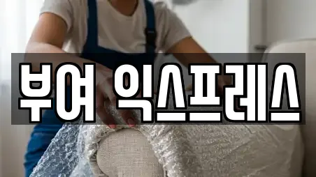 부여 익스프레스