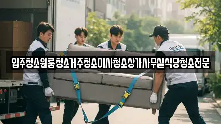 입주청소원룸청소거주청소이사청소상가사무실식당청소전문
