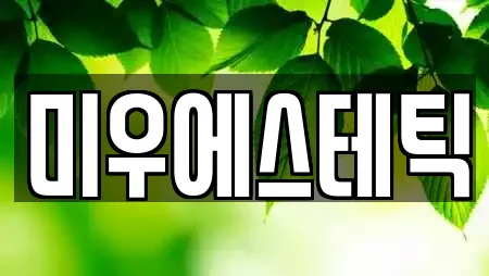 미우에스테틱