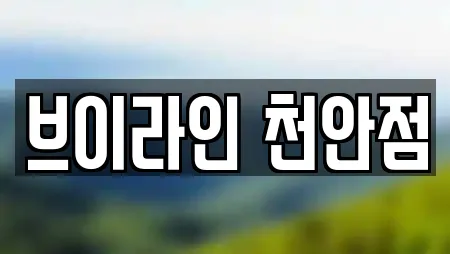 브이라인 천안점
