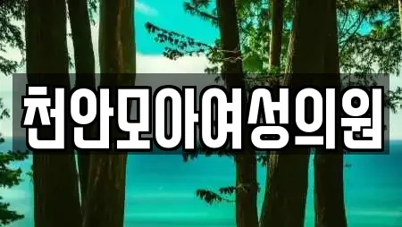 천안모아여성의원