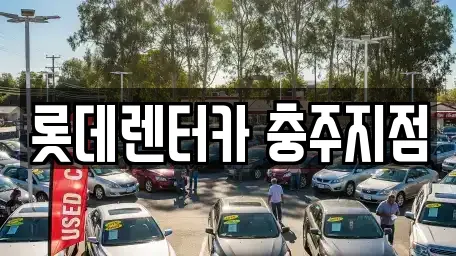 장기렌트카 전문 11업체 정보 (충주 동량면) 장기렌트카 전문 11업체 정보 (충주 동량면)