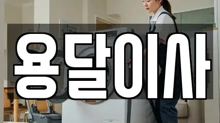 용달이사