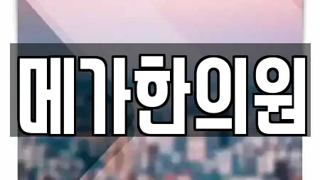 메가한의원