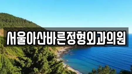 서울아산바른정형외과의원