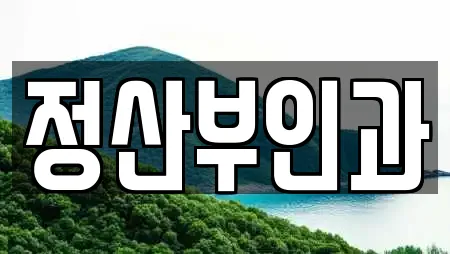 정산부인과