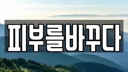 피부를바꾸다