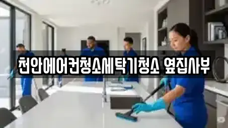 천안에어컨청소세탁기청소 옆집사부