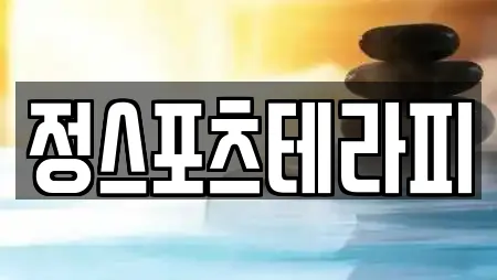 정스포츠테라피