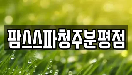 팜스스파청주분평점