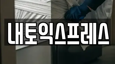 내토익스프레스