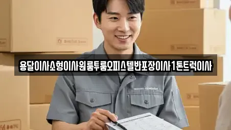 용달이사소형이사원룸투룸오피스텔반포장이사1톤트럭이사