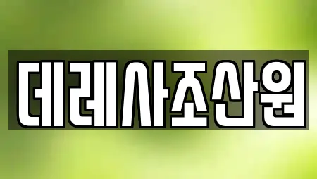 데레사조산원