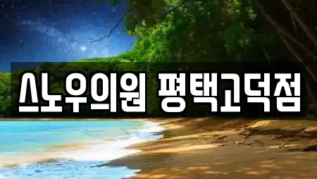 스노우의원 평택고덕점