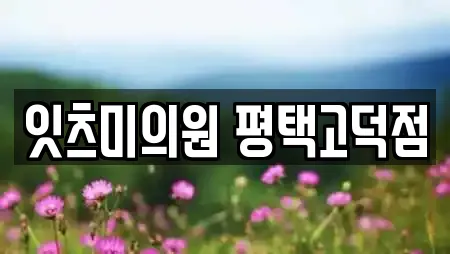 잇츠미의원 평택고덕점