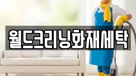 월드크리닝화재세탁