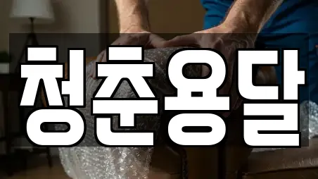 청춘용달