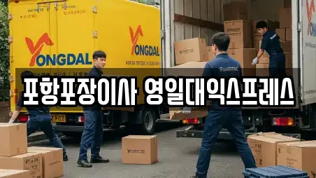 포항포장이사 영일대익스프레스