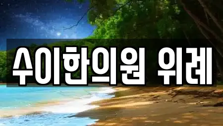 수이한의원 위례