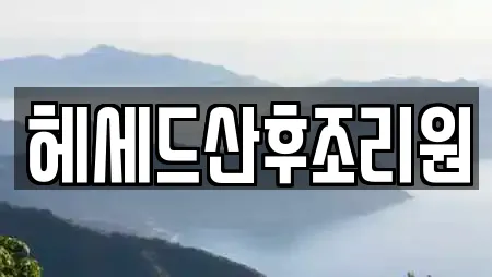 헤세드산후조리원