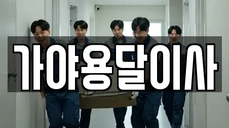 가야용달이사