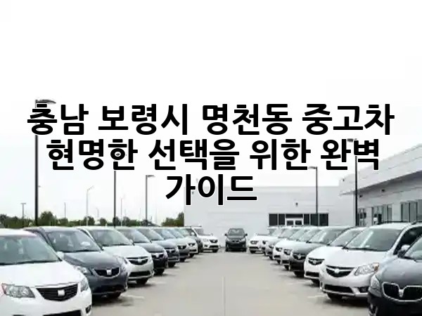 충남 보령시 명천동 중고차, 현명한 선택을 위한 완벽 가이드! 🚗✨