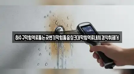 하수구막힘역류뚫는곳변기막힘뚫음싱크대막힘역류내시경악취제거
