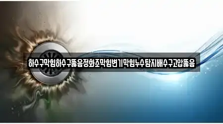 하수구막힘하수구뚫음정화조막힘변기막힘누수탐지배수구고압뚫음