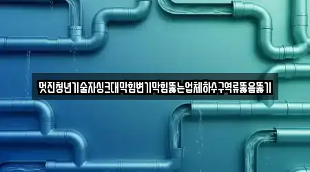 멋진청년기술자싱크대막힘변기막힘뚫는업체하수구역류뚫음뚫기