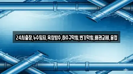 24시출장,누수탐지,옥상방수,하수구막힘,변기막힘,배관교체,용접