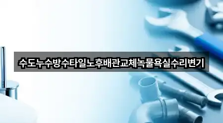 수도누수방수타일노후배관교체녹물욕실수리변기